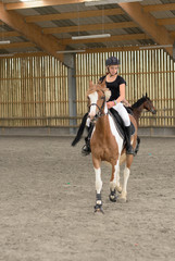 dressage © Image'in