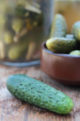 Closeup of some pickled and fresh cucumbers.