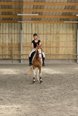 dressage © Image'in