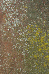 Rusty painted metal