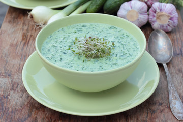 Closeup of a bowl of cold cucumber and dill soup.