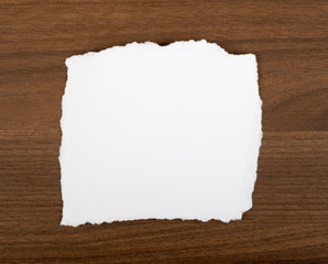 White blank piece of paper