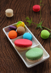 Macaron multi color.