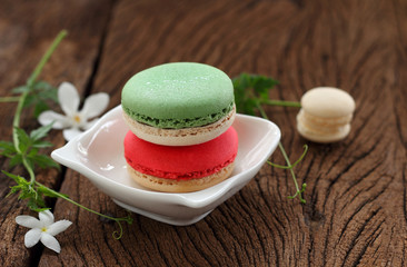 Macaron multi color.