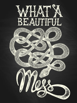 Illustration of a snake with "What a beutiful mess" hand drawn quote, white on the blackboard background