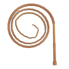 3d render of whip (tool)