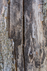 Very old wooden board