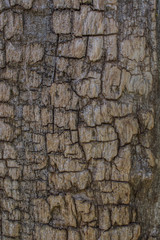 Very old wooden board