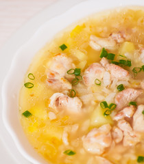 chicken soup with vegetables and rice