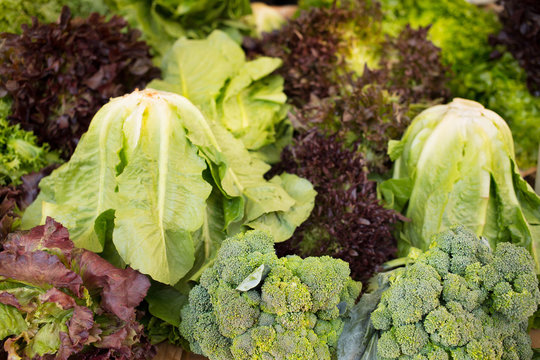 Lettuce and broccoli on market/Fresh vegetables arranged on farmers market