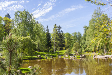 Summer Landscape In The Park