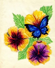 Painted Hibiscus