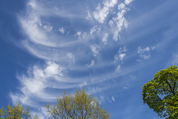 Obraz premium Blue Sky And Clouds