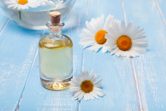 Aroma oil and camomile flowers on blue wooden background