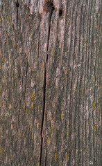 Obraz premium Very old wooden board