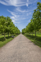 Alley In The Park