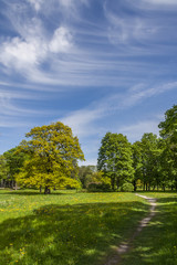 Summer In The City Park