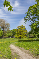 Road In The Park