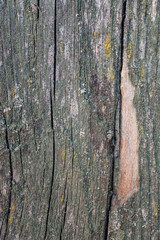 Very old wooden board