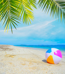 colorful ball under a palm tree