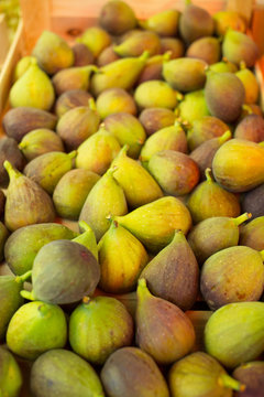 Fresh figs just picked ready for selling on farmers market/Healthy sweet fruit exposed on stand
