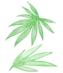 Watercolor green tropical leaves