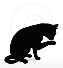 Vector Image - cat silhouette in Cleaning Paw pose