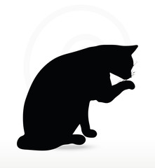 Vector Image - cat silhouette in Cleaning Paw pose