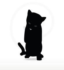 Vector Image - cat silhouette in Cleaning Paw pose