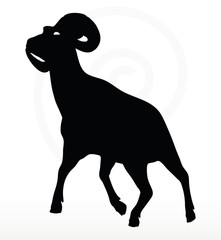 big horn sheep  silhouette in walking  pose