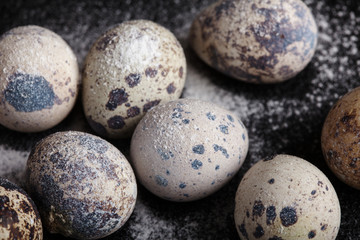 Obraz premium quail eggs on black background in the flour