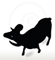 big horn sheep  silhouette in face upward  pose