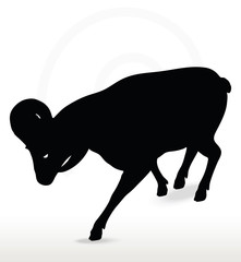big horn sheep  silhouette in down the hill pose