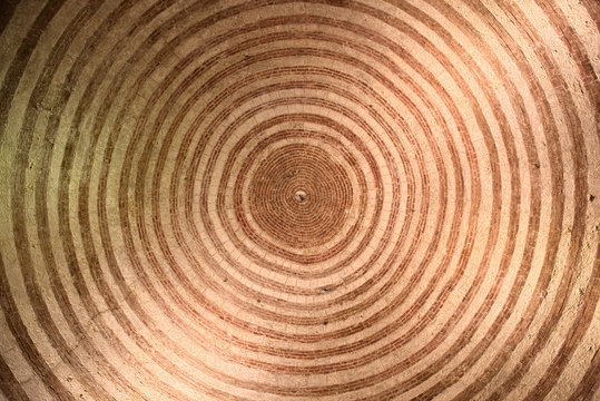 Design perfect concentric circles on the ceiling of the chapel