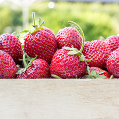  strawberries / ripe, red strawberries 