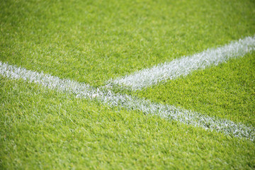 Fußballplatz - Naturrasen in einem Stadion