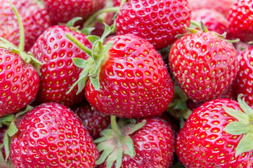 strawberries / ripe, red strawberries