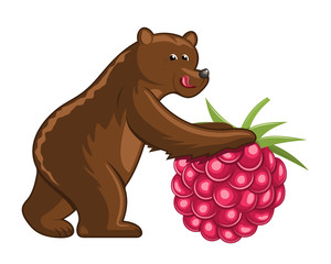 Funny cartoon bear with a giant raspbery fruit on white background