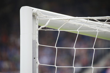 Fußballplatz - Naturrasen in einem Stadion