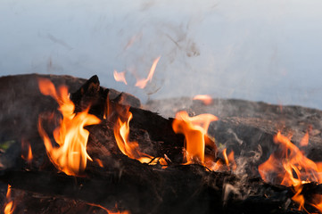campfire flames
