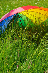 Bunter Sonnenschirm liegt auf saftig grüner Wiese