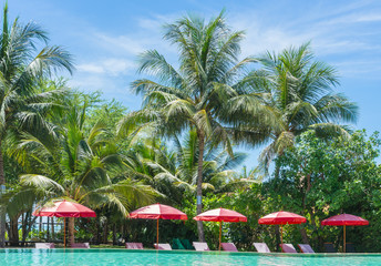 beautiful tropical swimming pool