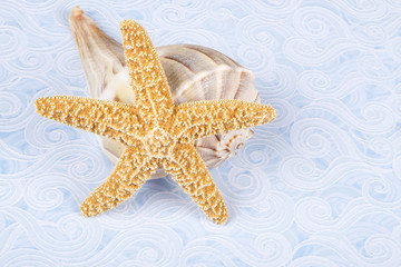 Starfish and a Lightning Whelk Seashell on Blue Paper with Wave Pattern