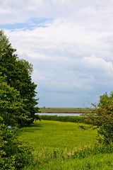 Nature Rural Landscape