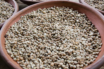 Luwak coffee in Bali, Indonesia. Coffee bean in making.
