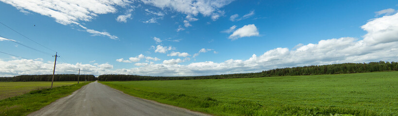 Fototapeta na wymiar панорама сельского поля и дороги летом