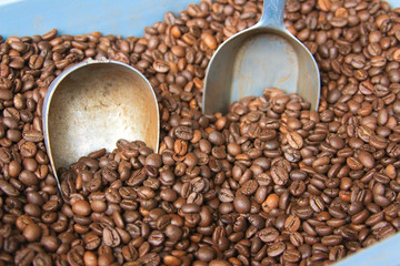 caffè tostato in grani