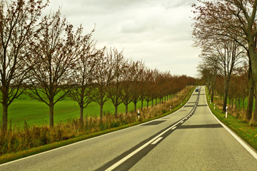 Fototapeta premium Country landscape and road