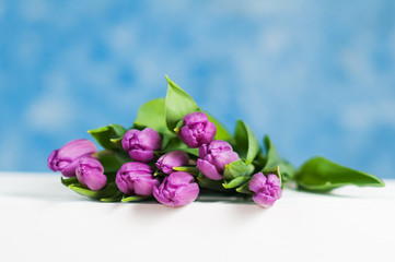purple tulips sitting on a white crate with a sky blue background