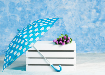 umbrella and tulips against a blue background